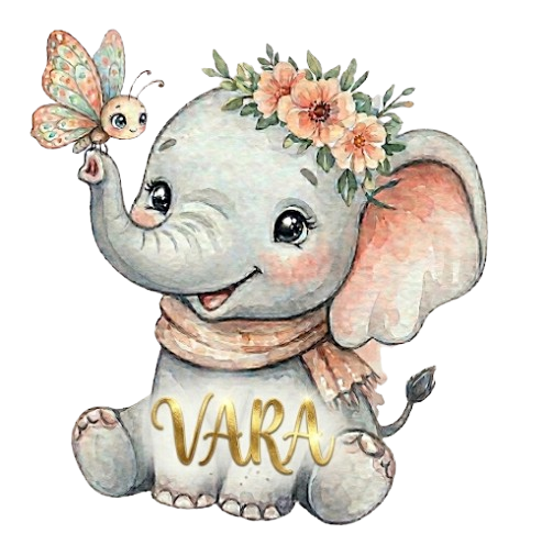 Vara Logo